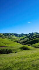 Rolling Green Hills Under a Vibrant Blue Sky