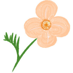 Pastel Pencil-Style Flower PNG Clipart for Creative Projects