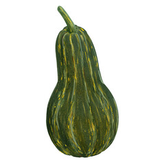 A cozy warm green pumpkin with realistic texture and subtle highlights, hand drawn autumn illustration. Perfect for seasonal designs, harvest themes, Thanksgiving, and fall decor. Isolated on white
