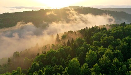 Misty mountain sunrise over a lush forest