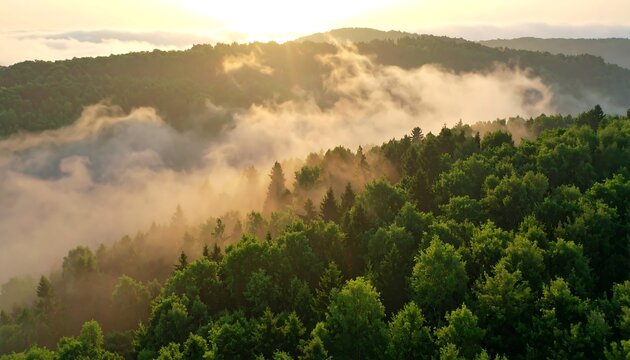 Misty mountain sunrise over a lush forest
