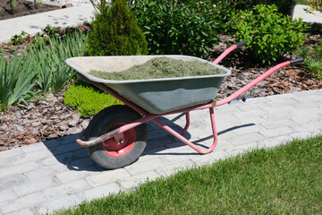Mulching the topsoil on a vegetable bed with mowed grass from the lawn. production of biohumus...