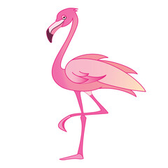 Cartoon flamingo flat vector illustration