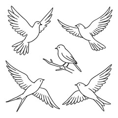 Obraz premium Five delicate line art bird silhouettes in flight and perched birds flying