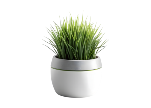 Green grass plant in a modern white and grey pot isolated on transparent background