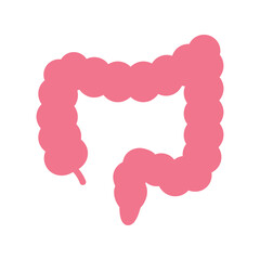 Human Large Intestine Colon: Digestive System Anatomy Pink Vector