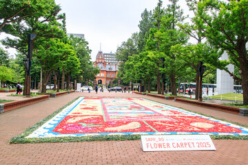  Akarenga: Former Hokkaido Government Office with Floral Carpet in Sapporo