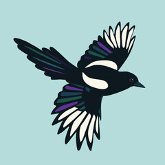ekste
A digital illustration of a flying magpie. You see the bird from a side. Both wings are spread out. The background is pale blue.rvlieg2.eps