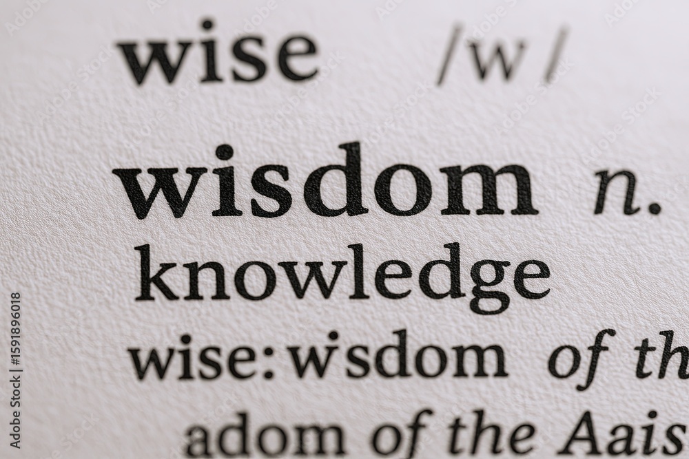 Poster close-up of dictionary page showing the word wisdom with its pronunciation and definition.