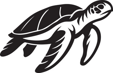 Turtle vector drawing for creative designers, Clean sea turtle illustration for use