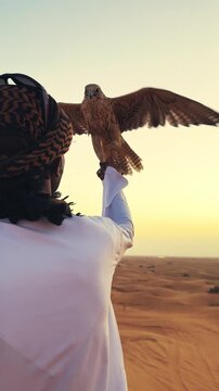 Unrecognizable arab man falconer holding hawk hunter pet against a desert sunset at background, vertical video