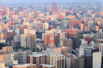 Fototapeta premium Evening Cityscape View of Sapporo with Red Communication Tower
