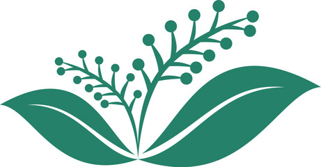 Aesthetic plant vector illustration