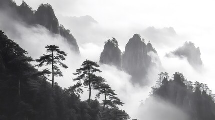 Misty chinese mountains with pine trees in black and white