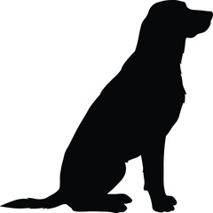 Sophisticated Dog Silhouette in Collar: Elegant Canine Companion Sitting Politely, Ideal for Pet Services, Animal Training, and Luxury Brand Concepts.