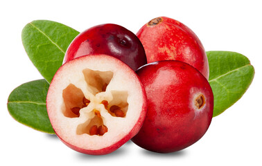 cranberries with leaves, one cut in half, on transparent background.