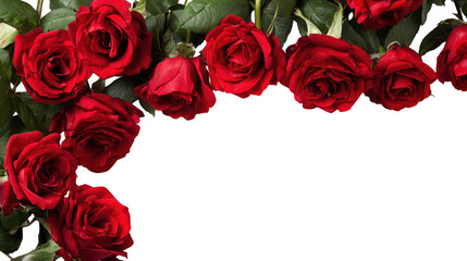 Obraz premium Red Rose Floral Frame Border Arrangements on transparent background