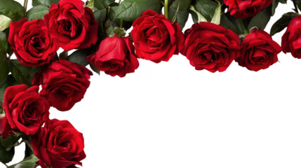 Red Rose Floral Frame Border Arrangements on transparent background