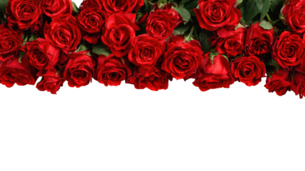 Red Rose Floral Frame Border Arrangements on transparent background