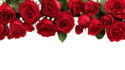 Red Rose Floral Frame Border Arrangements on transparent background