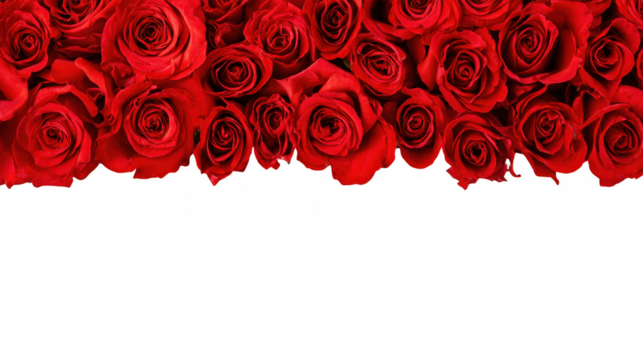 Red Rose Floral Frame Border Arrangements on transparent background