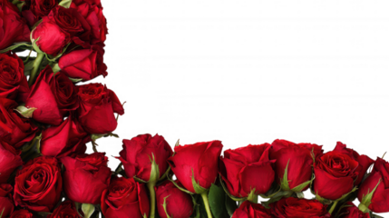 Red Rose Floral Frame Border Arrangements on transparent background