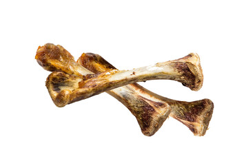 gnawed bone on transparent background.