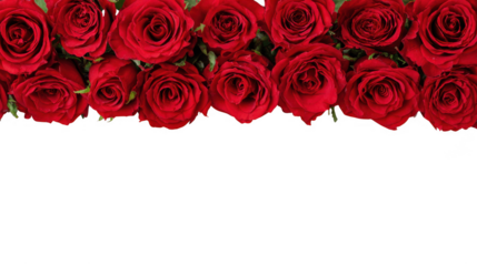 Red Rose Floral Frame Border Arrangements on transparent background