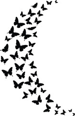 Dynamic Butterfly Swarm Silhouettes: Graceful Butterflies in Flight Forming a Wavy Pattern, Ideal for Nature, Freedom, Spring, and Transformative Design Concepts.