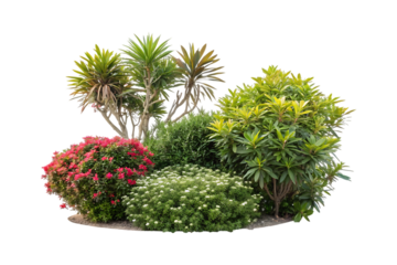 Tropical plants and flowering bushes isolated on transparent image