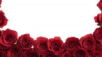 Red Rose Floral Frame Border Arrangements on transparent background