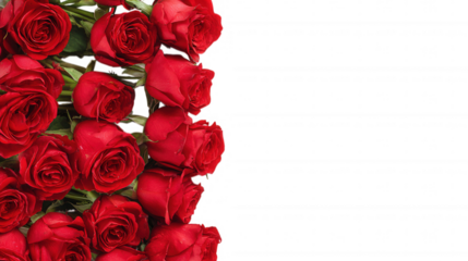 Red Rose Floral Frame Border Arrangements on transparent background