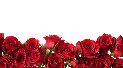 Red Rose Floral Frame Border Arrangements on transparent background