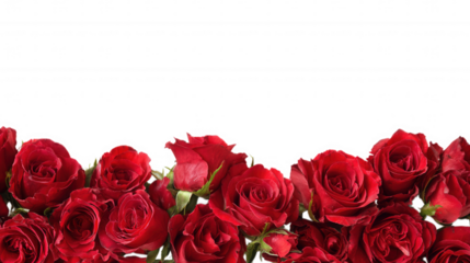 Red Rose Floral Frame Border Arrangements on transparent background