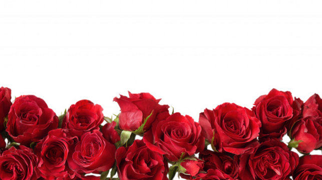 Red Rose Floral Frame Border Arrangements on transparent background