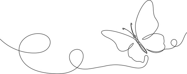 continuous single line drawing of a butterfly, line art vector illustration