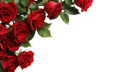 Red Rose Floral Frame Border Arrangements on transparent background