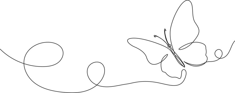 continuous single line drawing of a butterfly, line art vector illustration