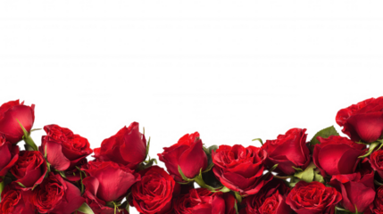 Red Rose Floral Frame Border Arrangements on transparent background