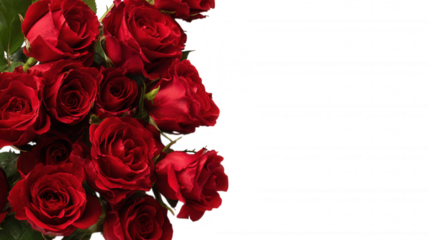 Red Rose Floral Frame Border Arrangements on transparent background