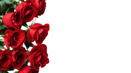 Red Rose Floral Frame Border Arrangements on transparent background