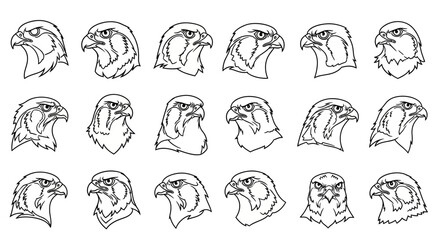 Falcon Head Sketches line icon vector 