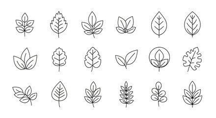 Hand drawn organic leaf line icons symbol vector
