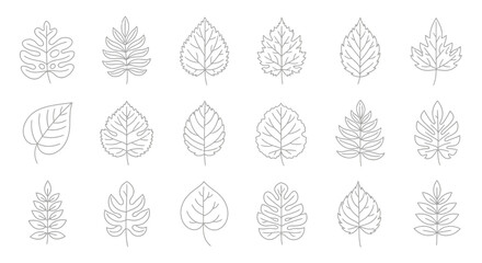 Hand drawn organic leaf line icons symbol vector