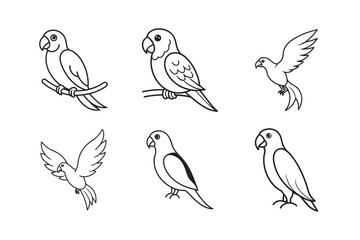 Fototapeta premium line art parrot set bundle on the white background