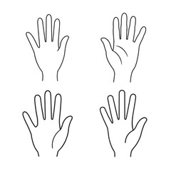 line art sketch of human hand open palm set bundle