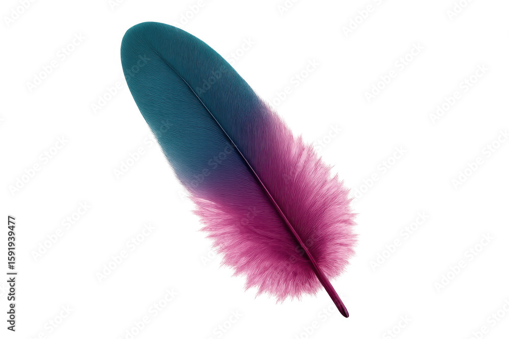 Poster pastel-tinted feather with translucent backdrop, highlighting ethereal texture and softness for desi