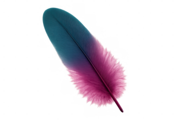 Pastel-tinted feather with translucent backdrop, highlighting ethereal texture and softness for design and fashion applications