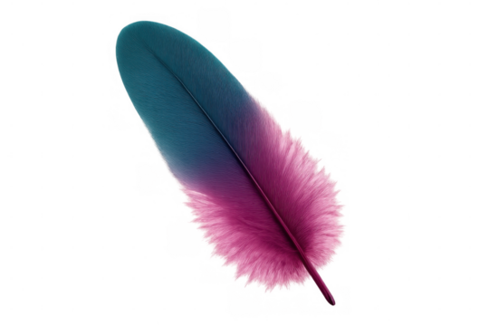 Pastel-tinted feather with translucent backdrop, highlighting ethereal texture and softness for design and fashion applications