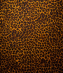leopard, skin texture, furry background, wild cat spots, wool, dark background, fashion animal print, stylish design for fabric